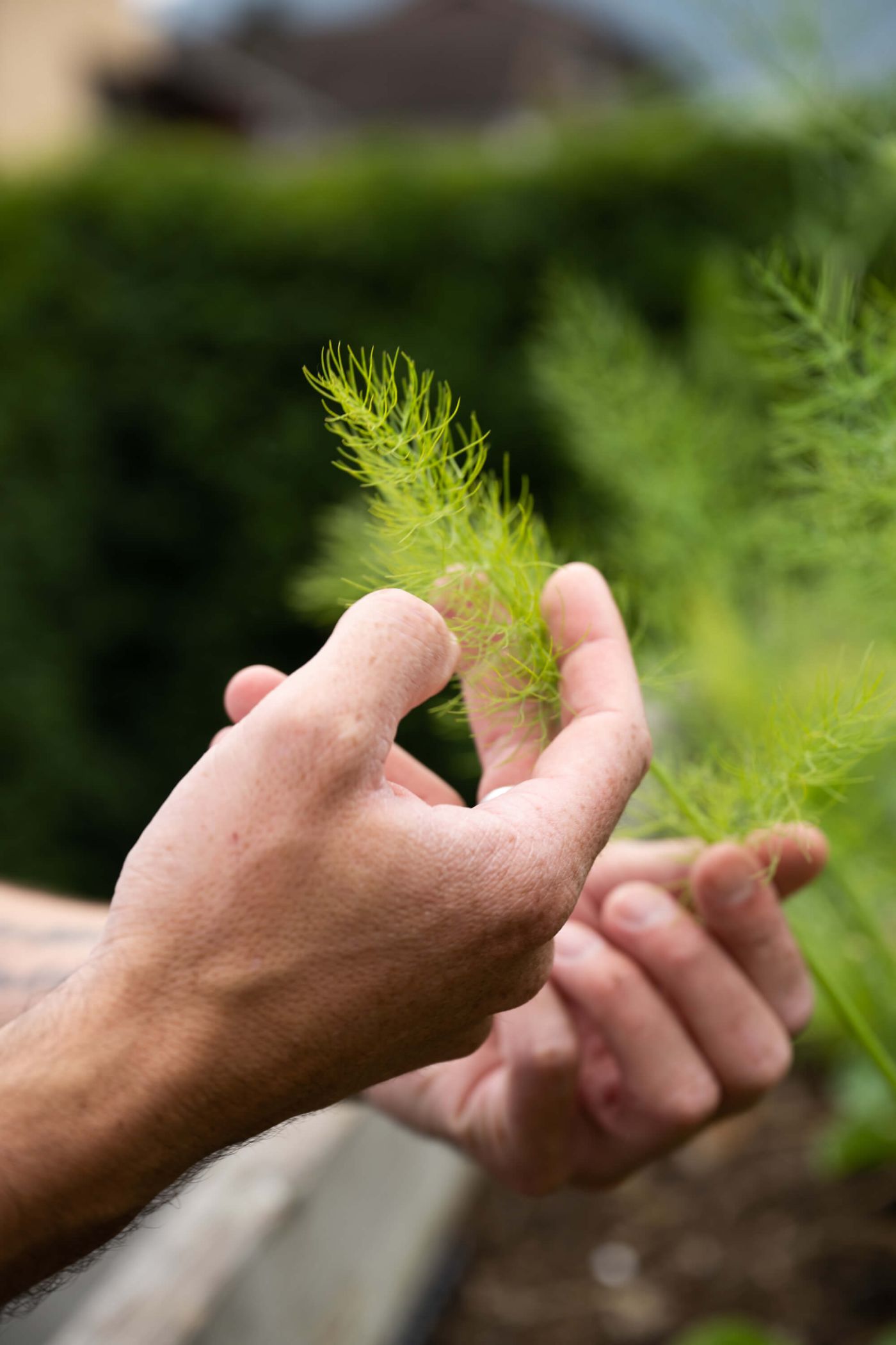 Regionale Partnerschaften