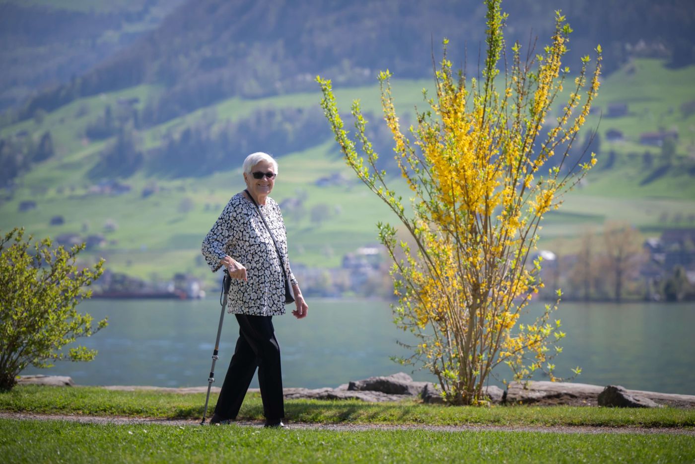 Auswahl Bildmaterial Heimet divers