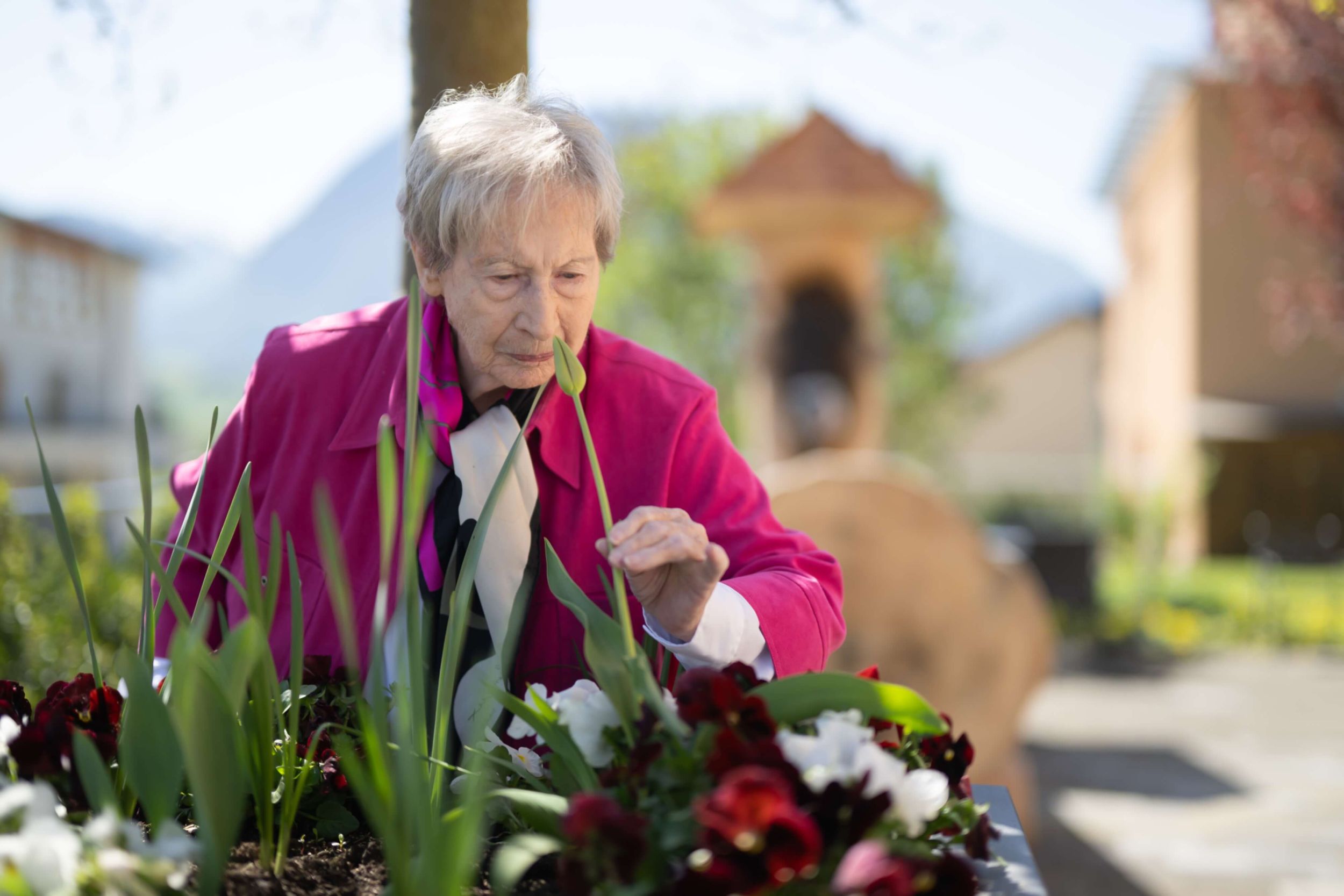 Auswahl Bildmaterial Heimet divers